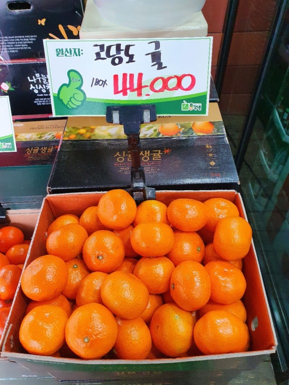 총각네수지 이미지