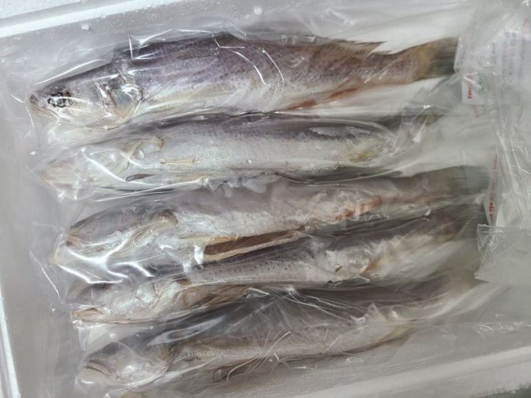안뜰애 이미지