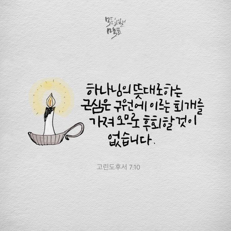 오늘의그릇 이미지