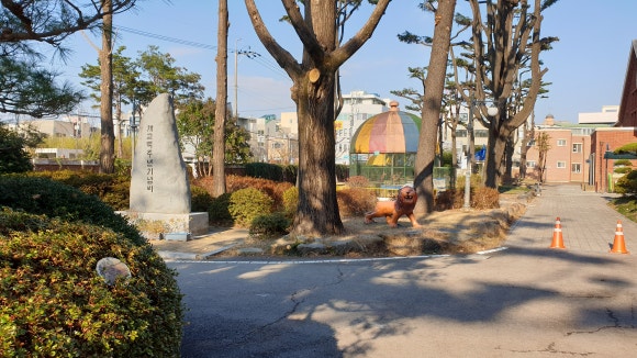 광주서석초등학교 이미지
