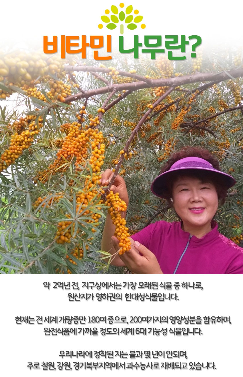비타민농원 이미지