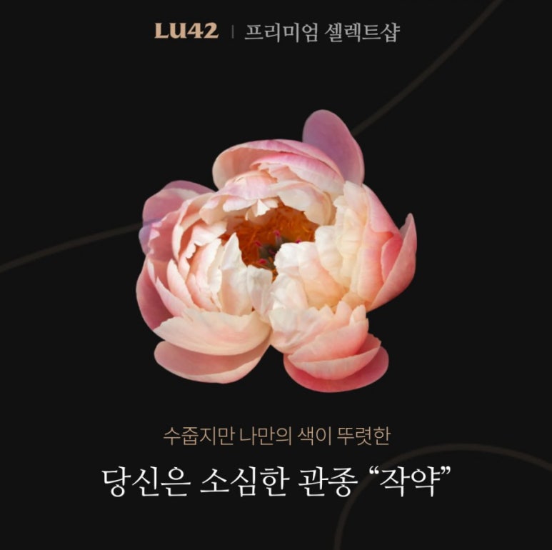 두콩 이미지