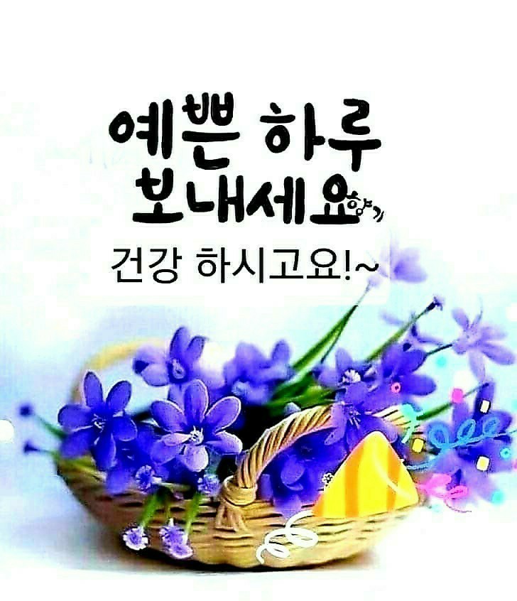 예쁜하루 이미지