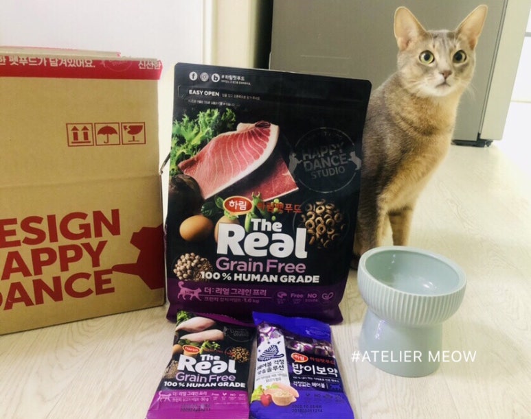 합성더참치 이미지