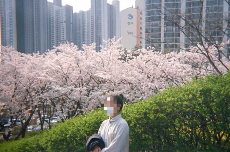 서울칼라１사진관 이미지