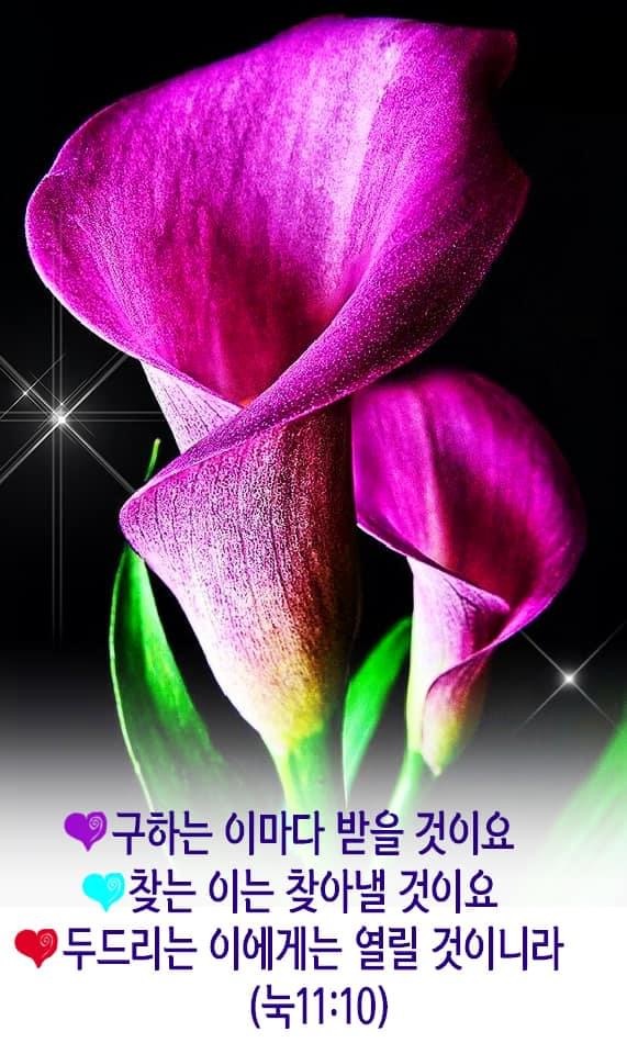 오르프음악 이미지