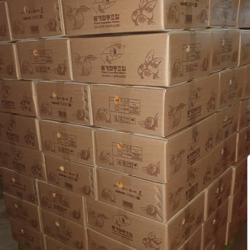 플레르망고충주 이미지