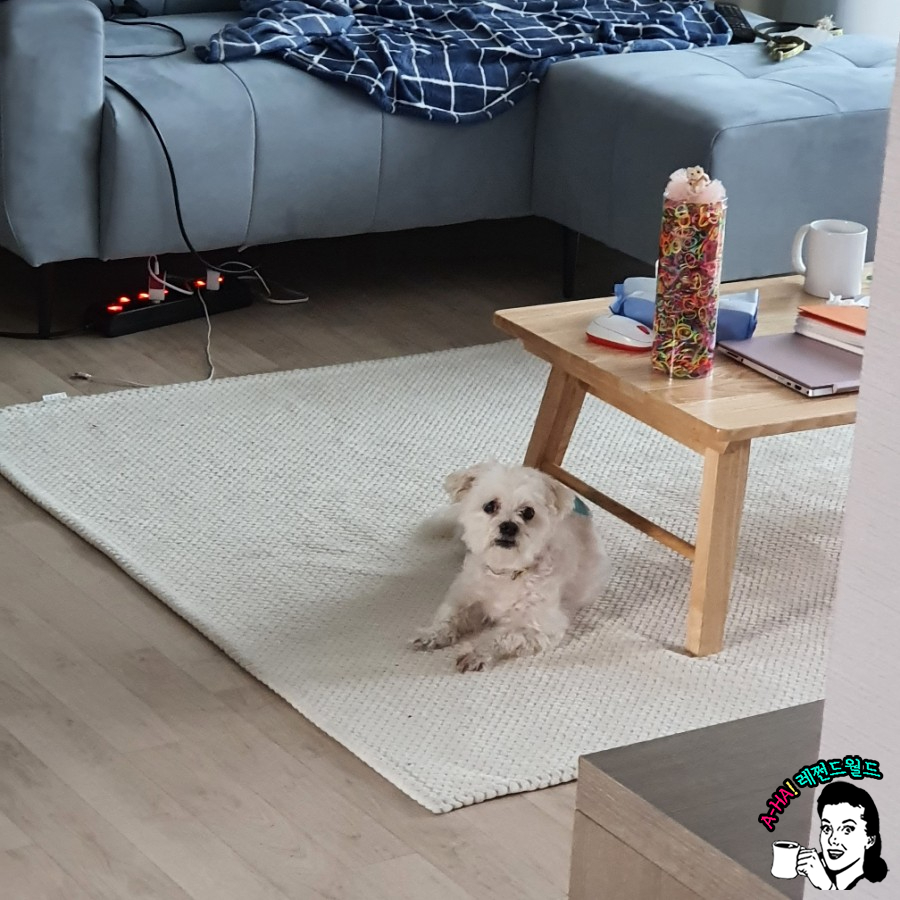 복운미용실 이미지