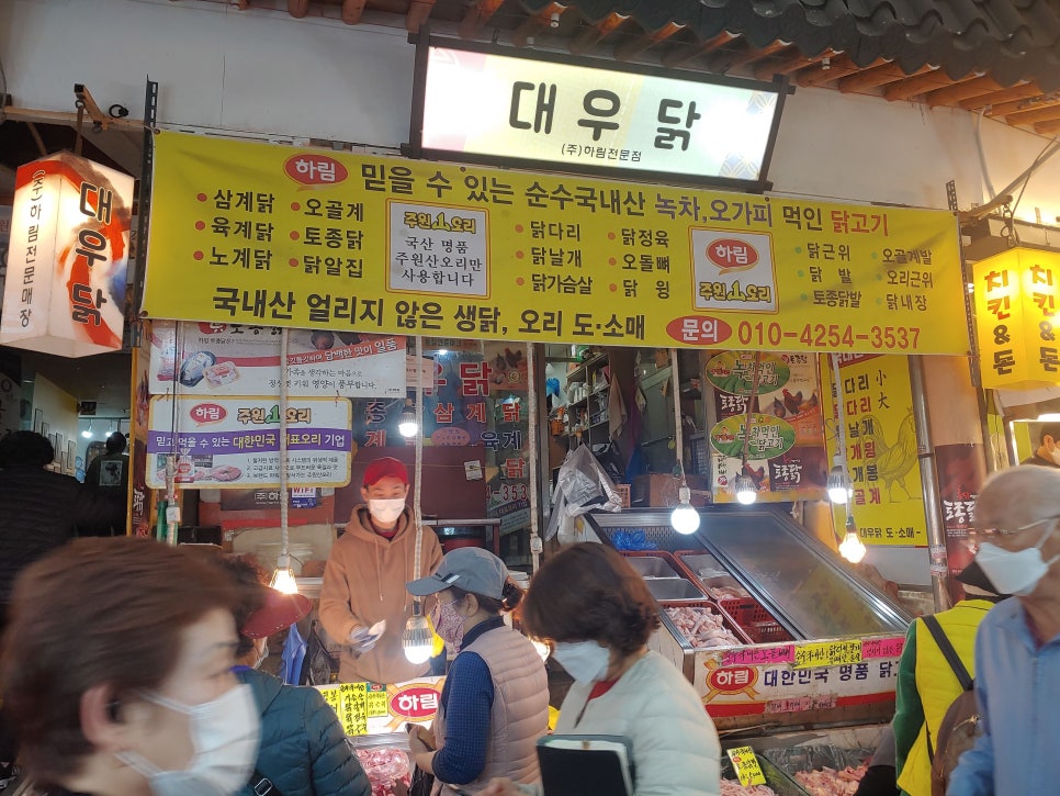 대우닭 이미지
