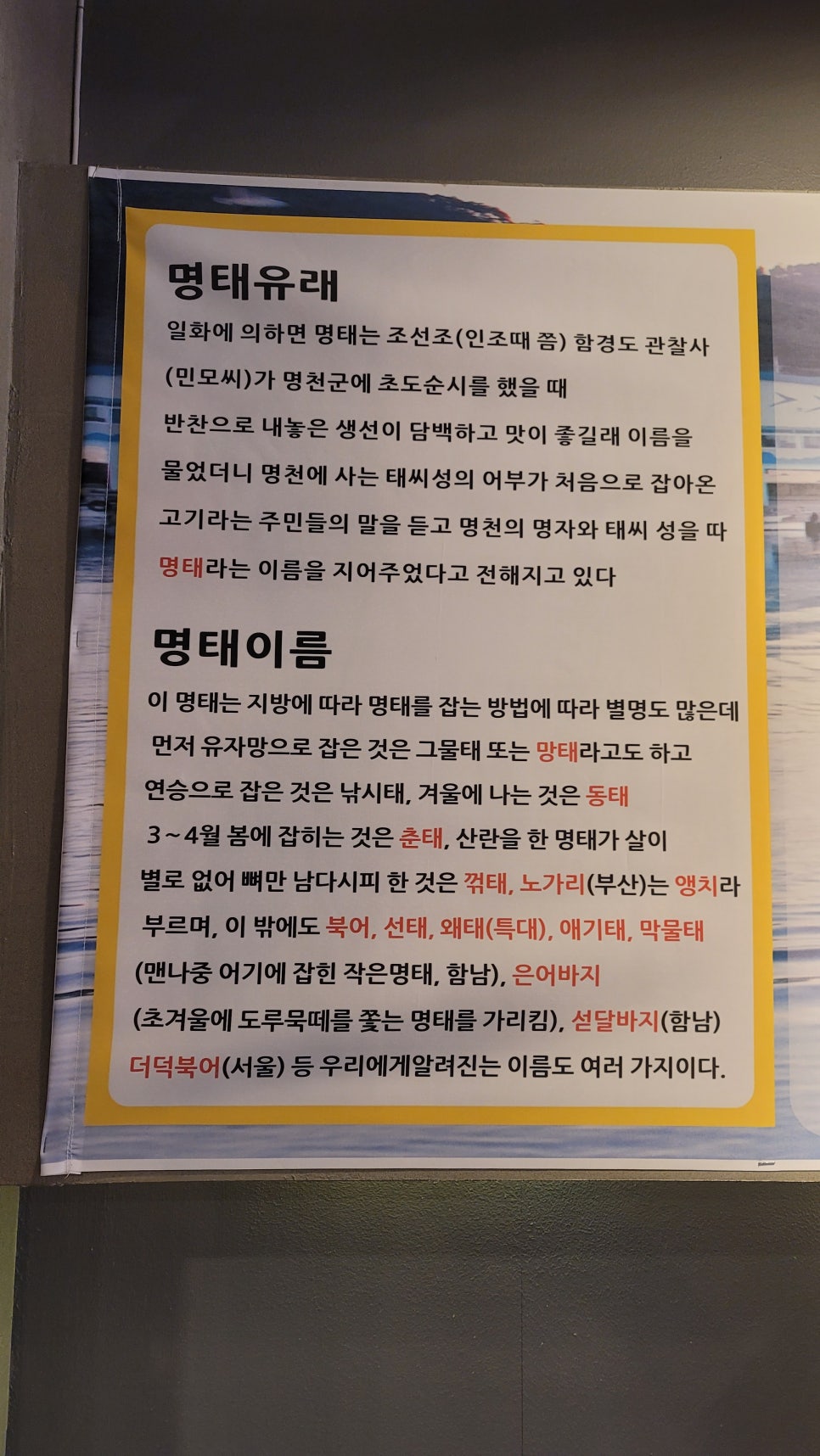 명태사랑 이미지