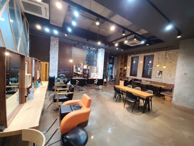 살롱;동백 이미지