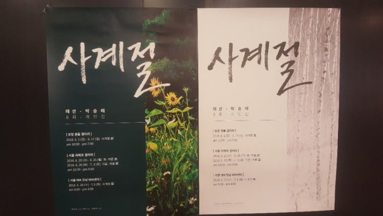 태산겔러리 이미지