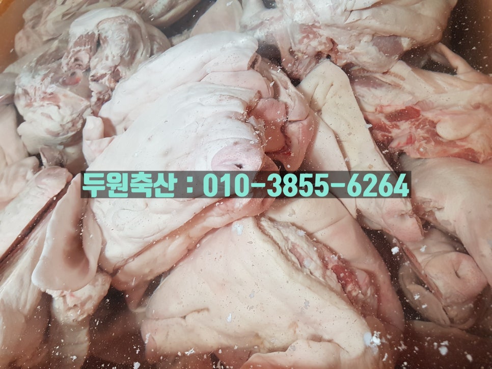 두원유통 이미지