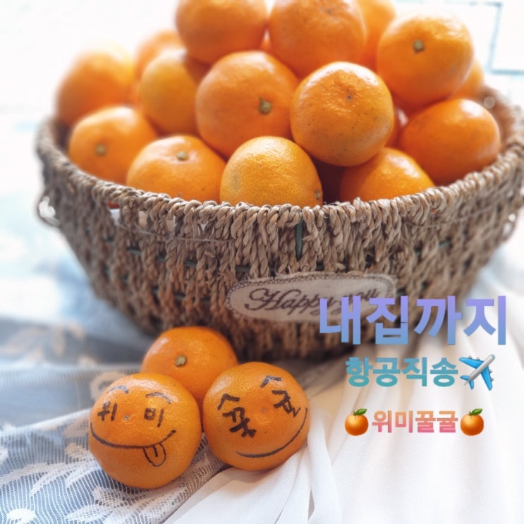 플레르망고 이미지