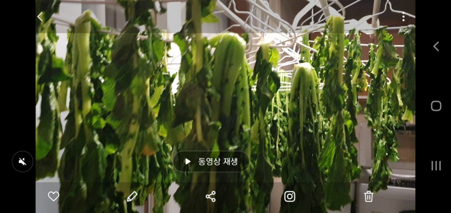팔팔세탁소 이미지