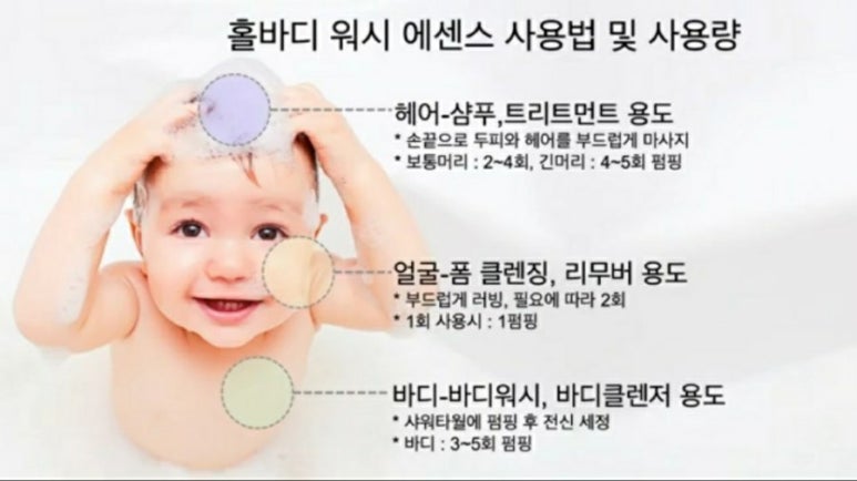 워시홀 이미지