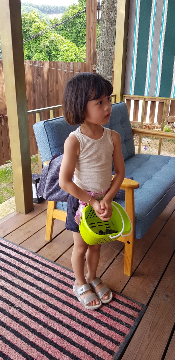 행복한블루베리 이미지
