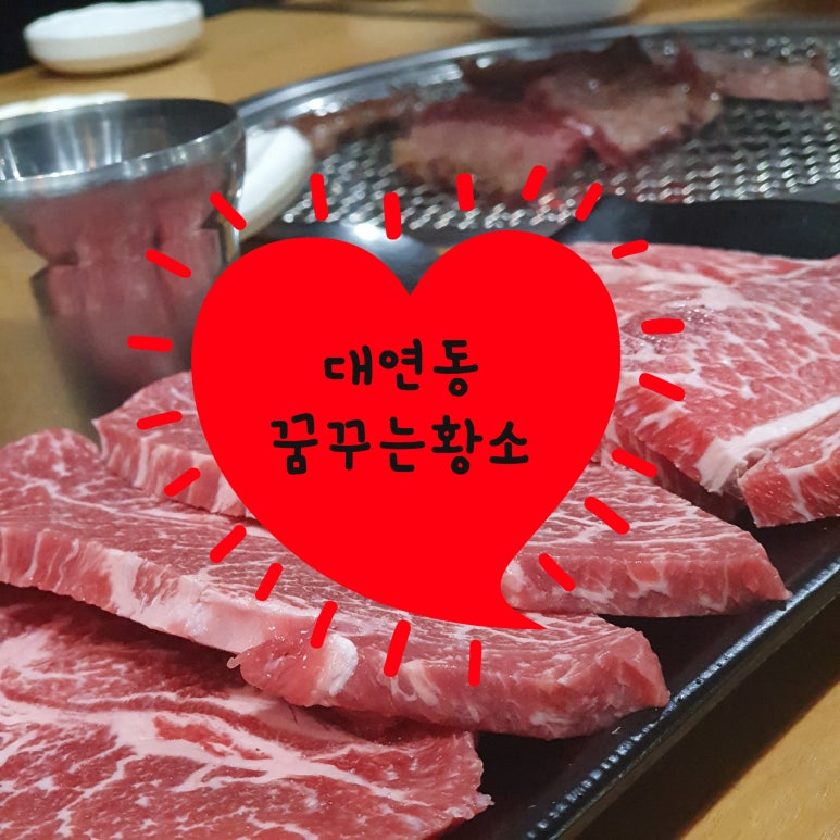 꿈꾸는황소 이미지