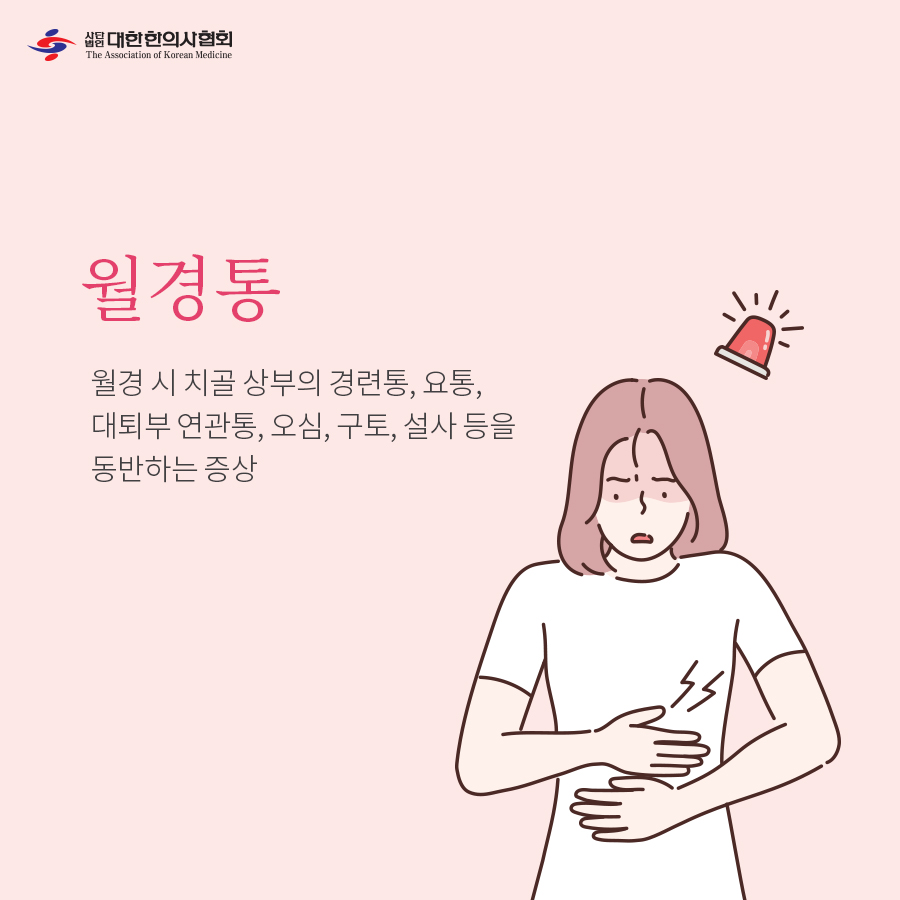사임당건강 이미지