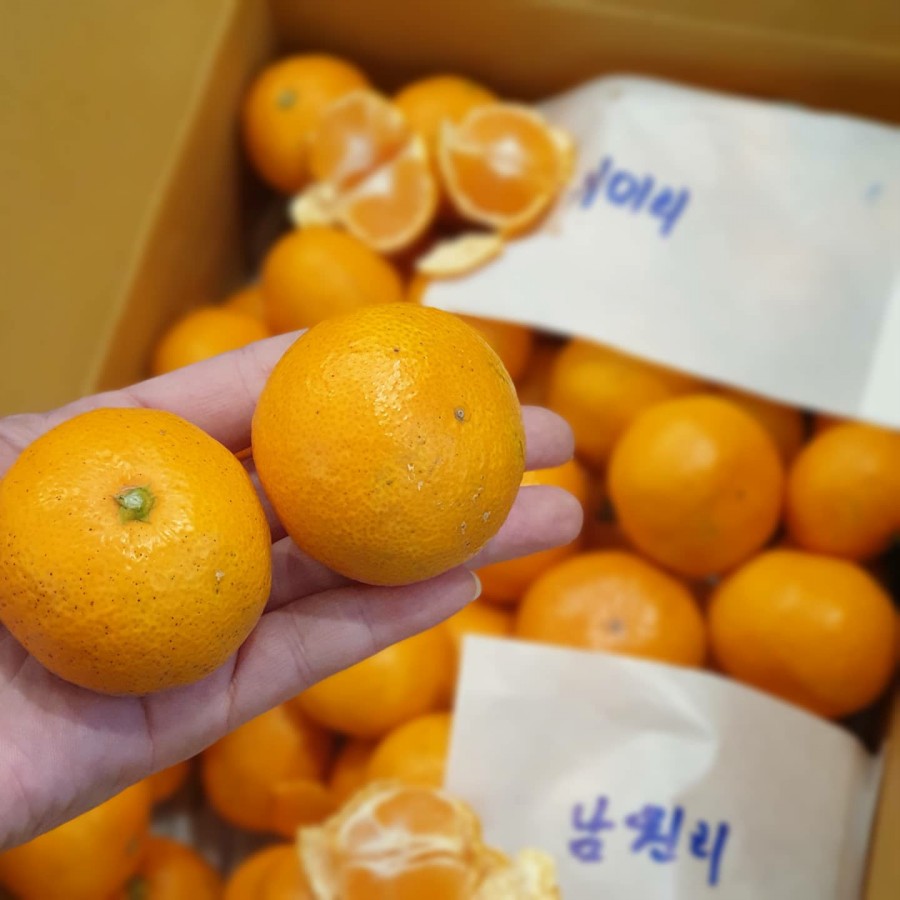 플레르망고충주 이미지