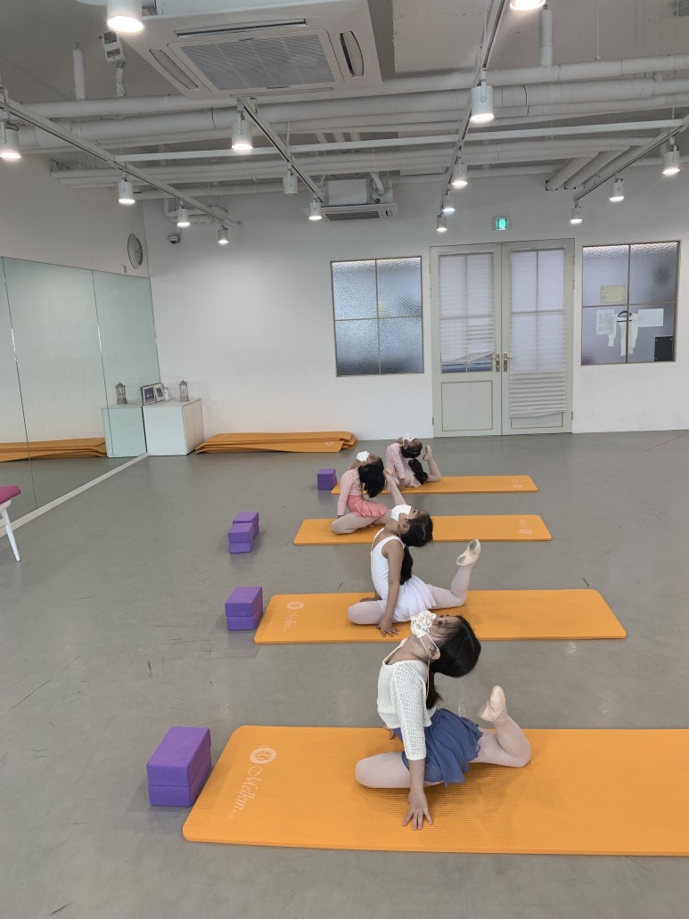한예종영재발레학원 이미지