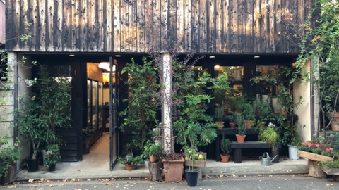 cafe Felice(카페 펠리체) 이미지