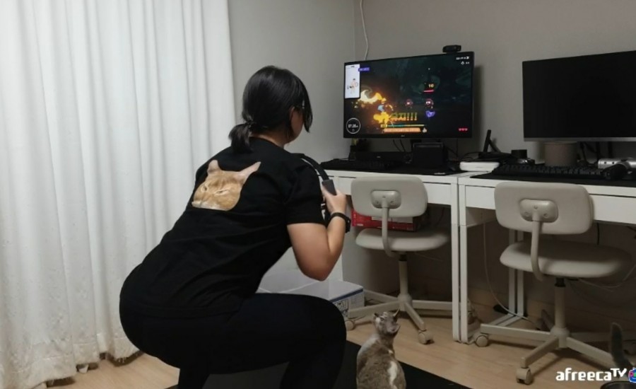 더우링 이미지
