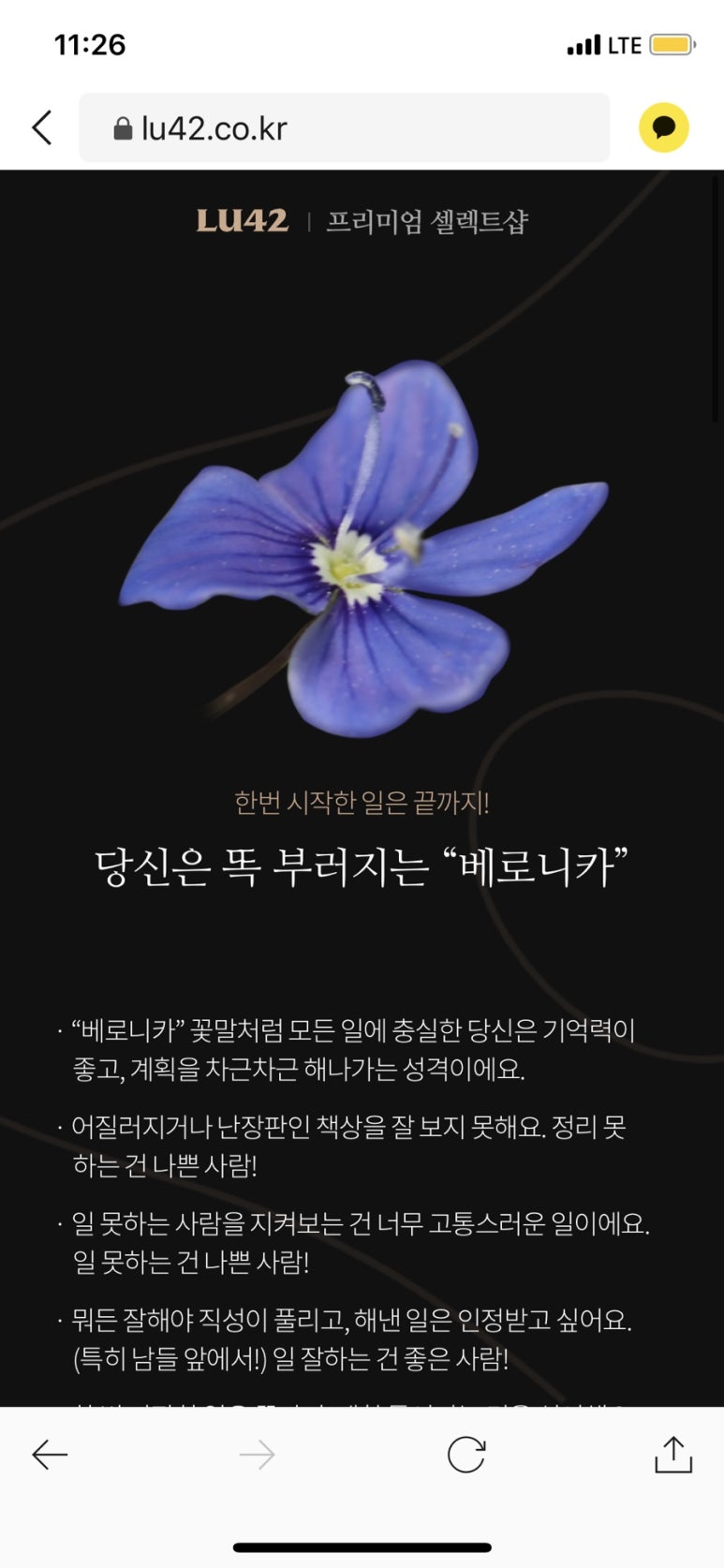 엔젤브레드 이미지
