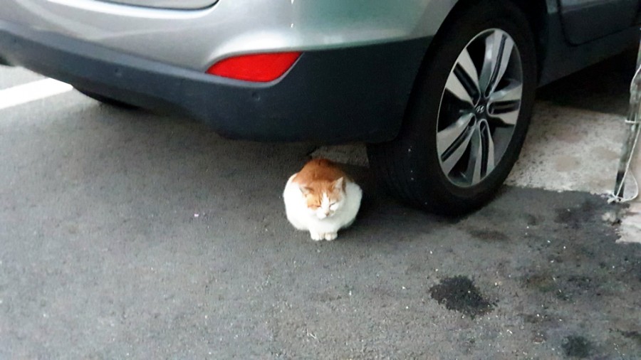통영수월상회 이미지