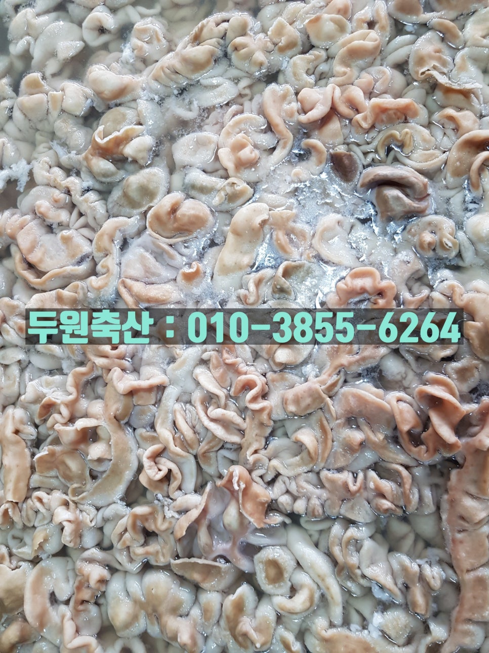 두원유통 이미지