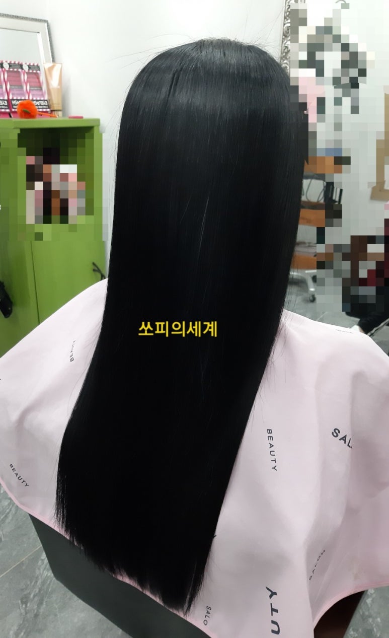 쏘피의 세계 이미지