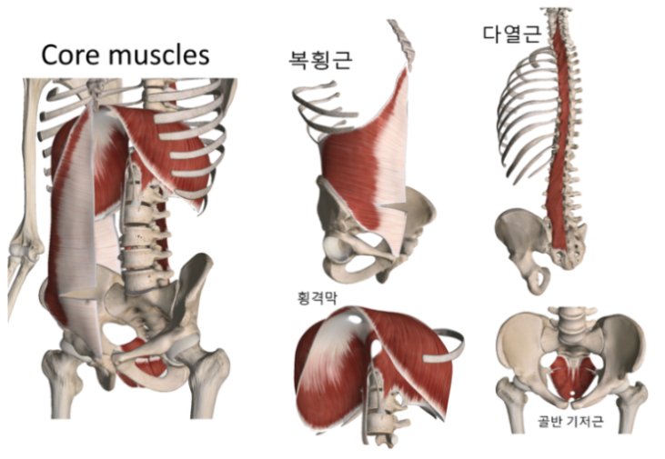 루틴브릿지 이미지