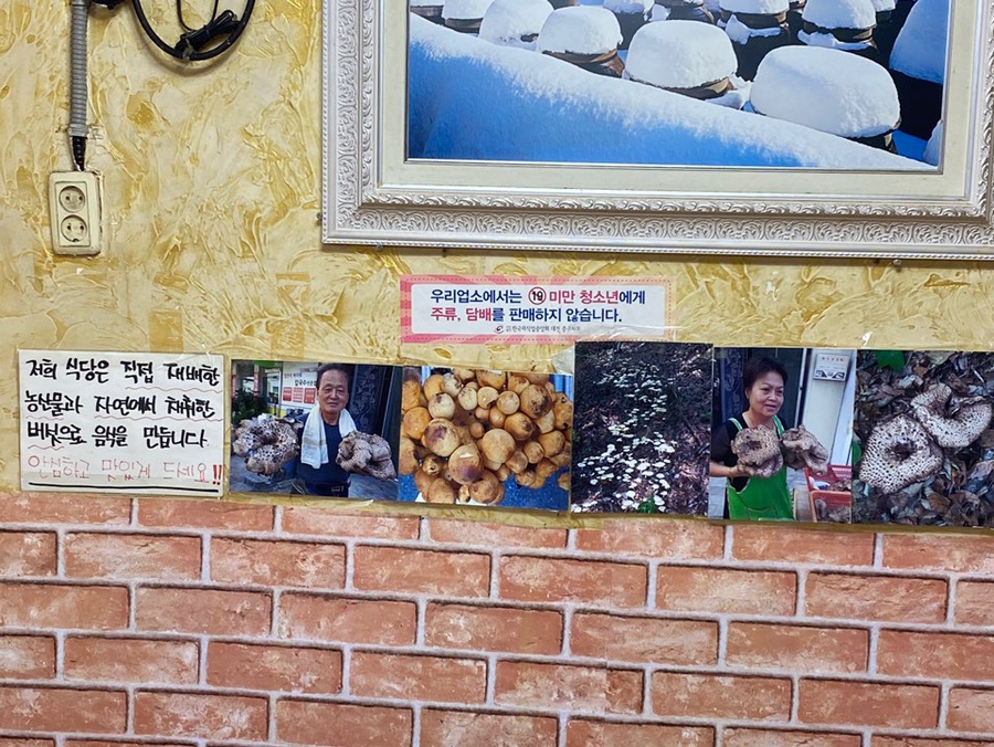 보문산 식후경 이미지