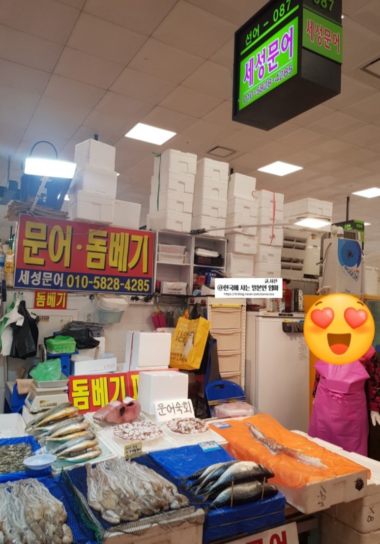 세성문어 이미지