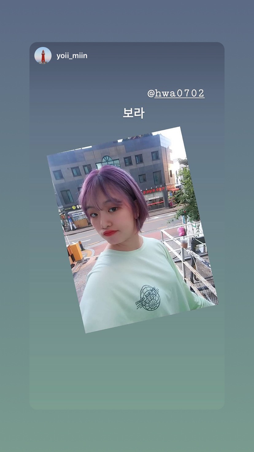 레드미컬헤어 이미지