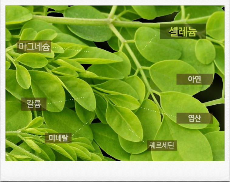 참다움푸드 이미지