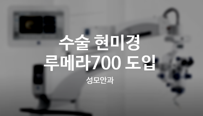 루메라 이미지