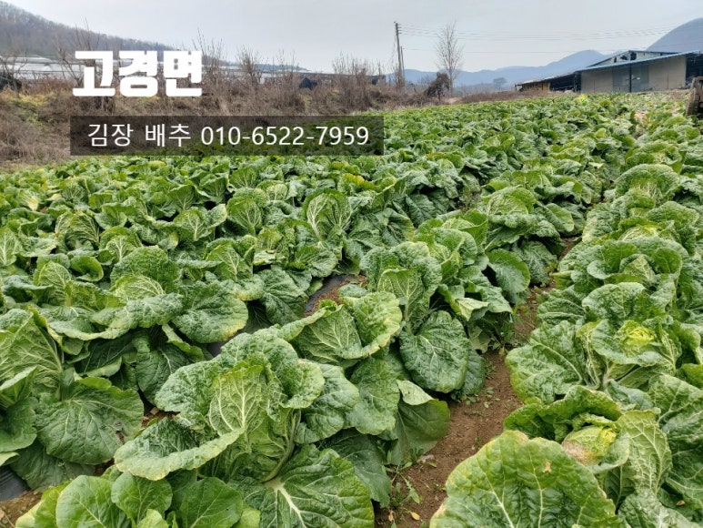 덕암주유소 이미지