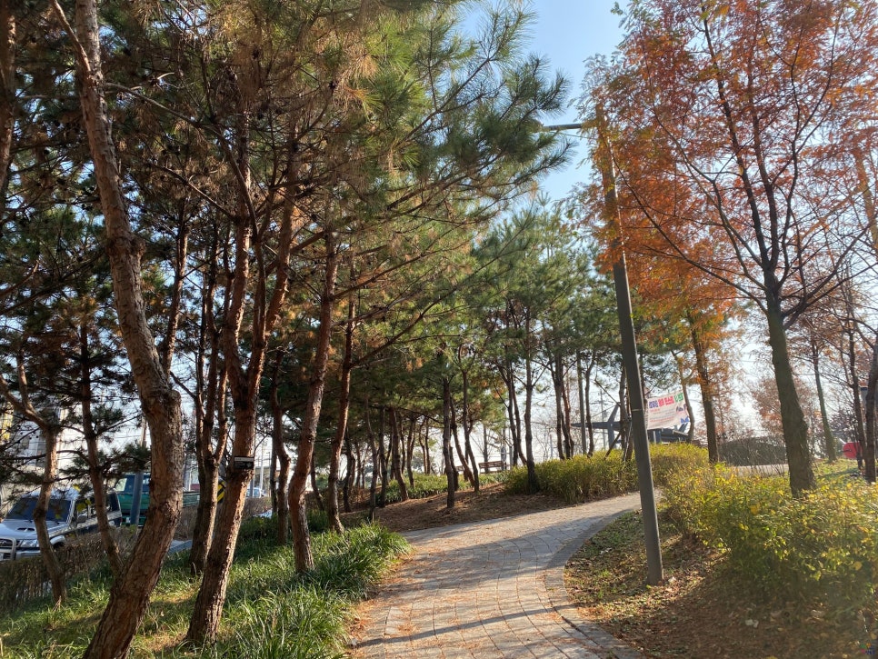 전재울사거리 이미지