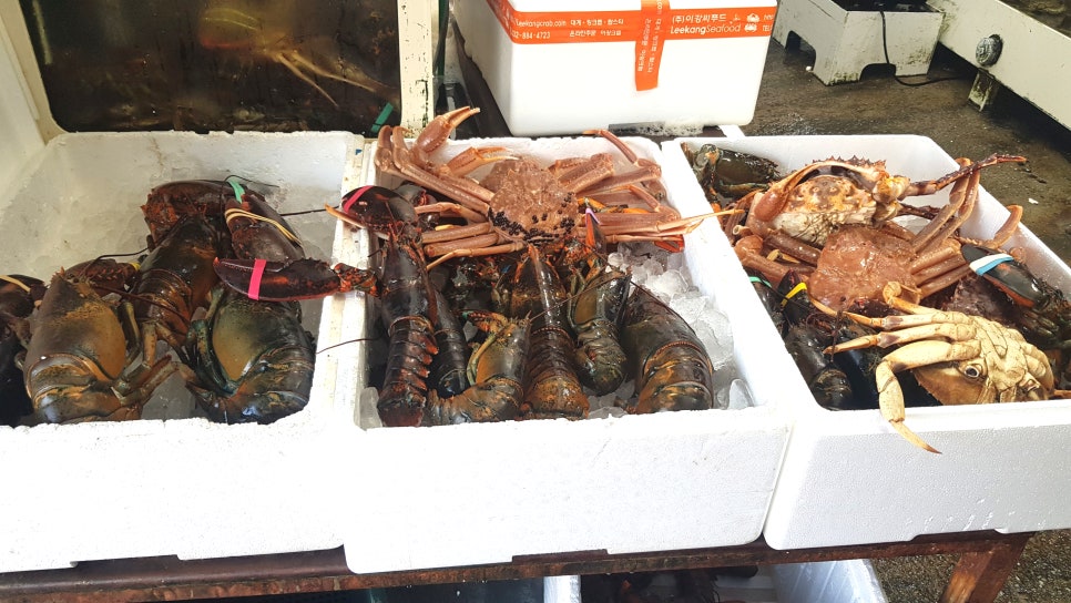 이강크랩 이미지