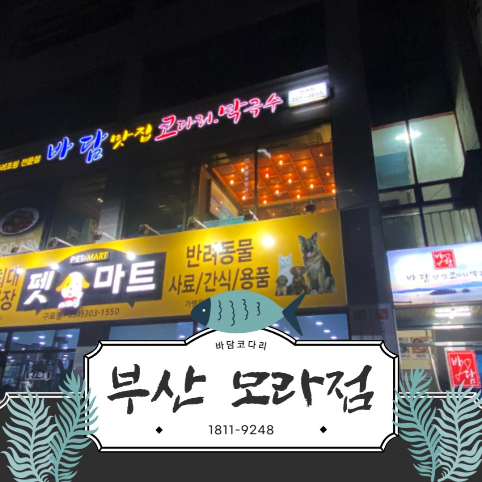 바담코다리 이미지