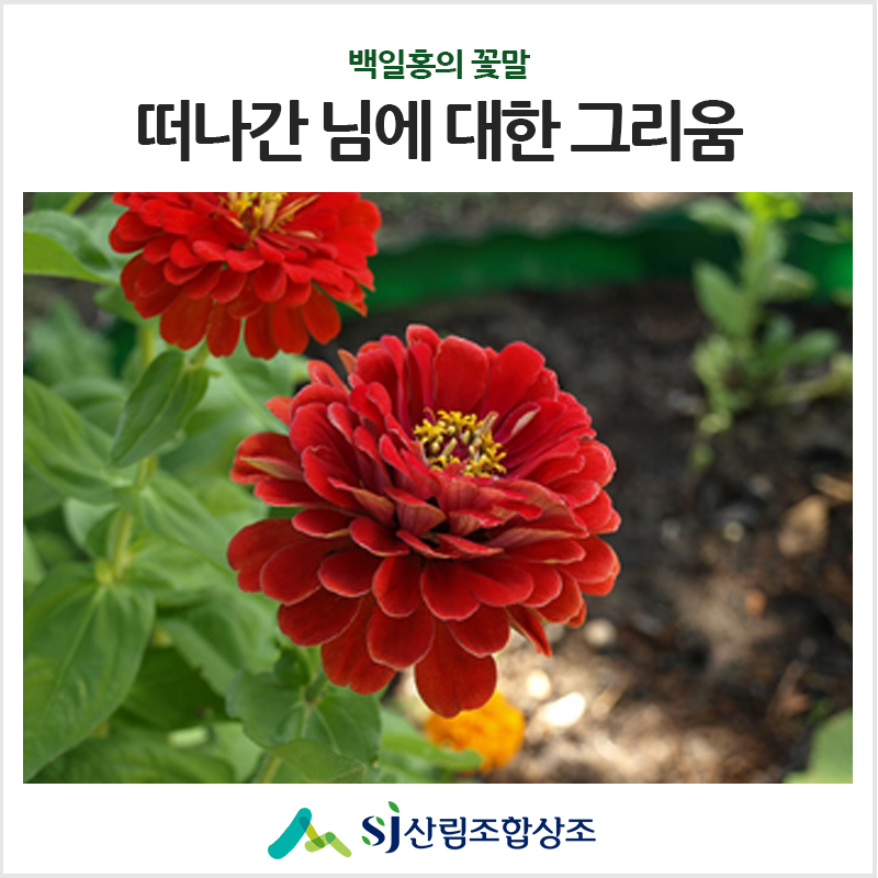 그리움상조 이미지