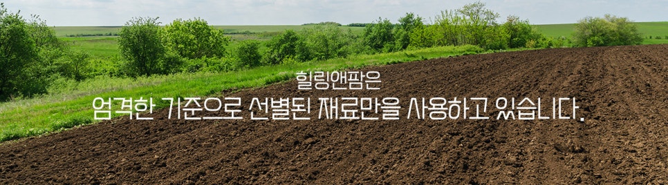 강원약초농산 이미지