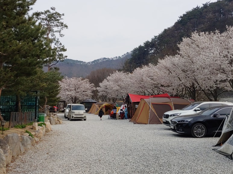 엉클캠프 이미지