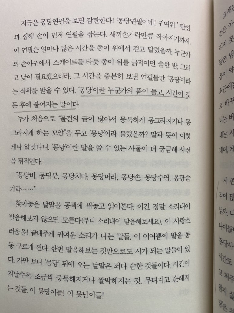 모월모일 이미지