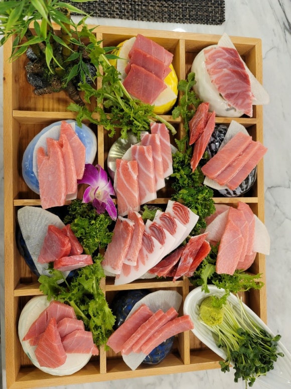 한참치 사진 5