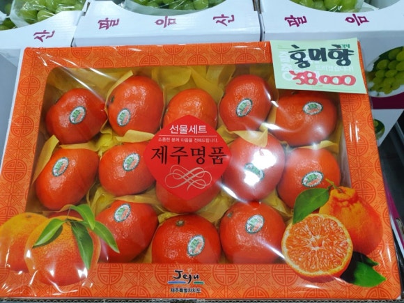 총각네수지 이미지