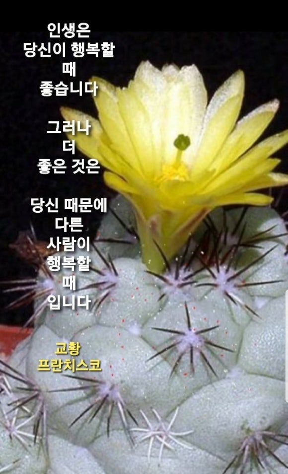 현대직업소개소 이미지