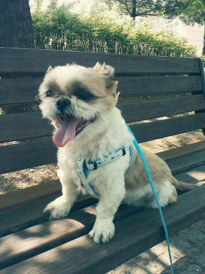 홍금성 이미지