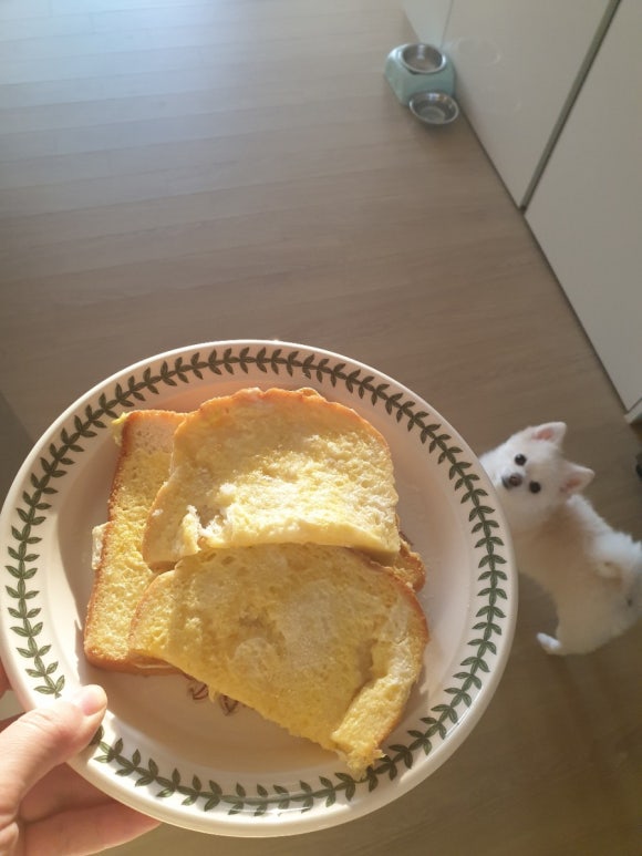 셰프윈 이미지